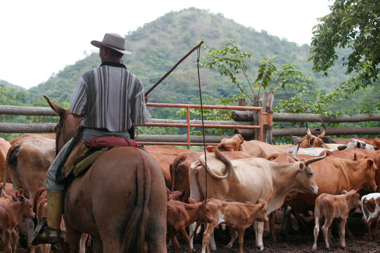 llaneros venezolanos